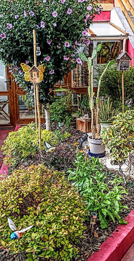 낭시 Un Moment De Douceur B&B 외부 사진